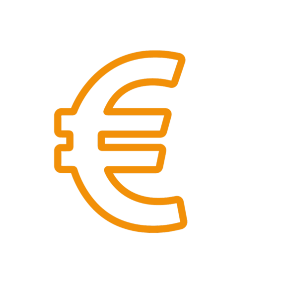 Icon euro